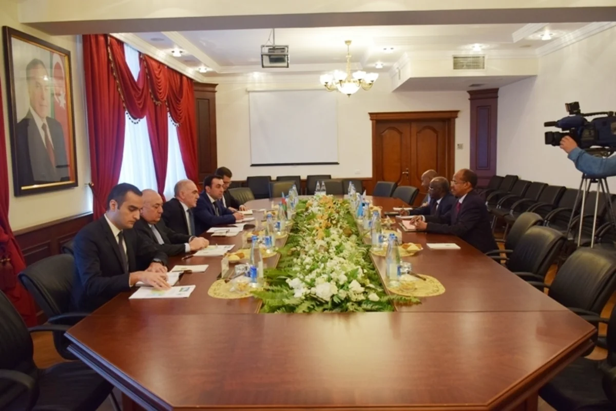 Yavər Camalov Cibutinin xarici işlər və beynəlxalq əməkdaşlıq nazirini qəbul edib
