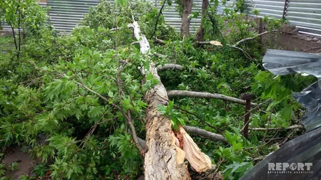 Güclü külək və leysan yağışlar bir sıra rayonlarda fəsadlar törədib - FOTO - YENİLƏNİB