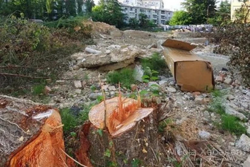 Gəncədə ağacları qanunsuz kəsən qadın cərimələnib