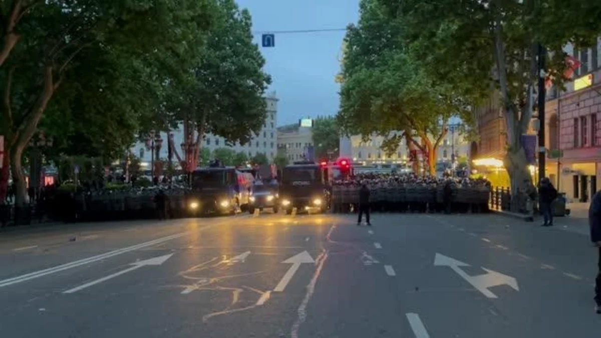 МВД Грузии призвало  митингующих освободить территорию у здания парламента