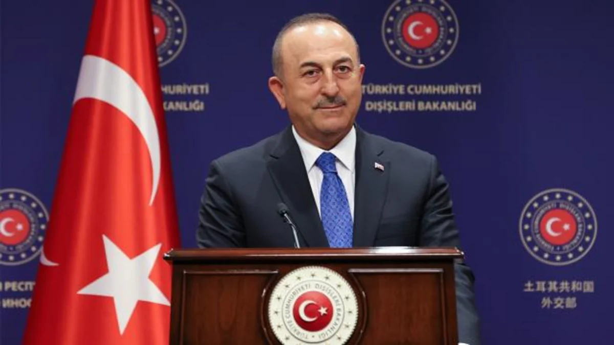 Turkish FM to visit France tomorrow 