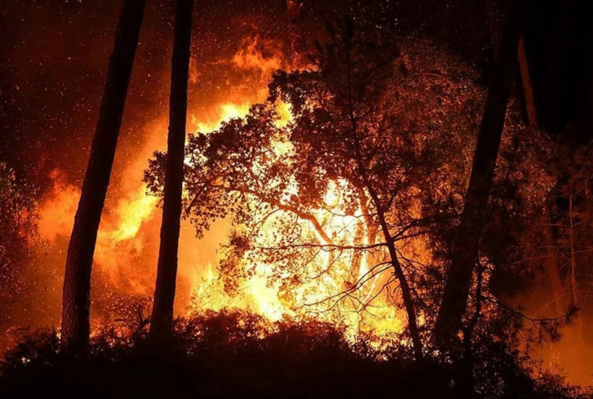 Fransada yanğın 500 hektardan çox meşə sahəsini əhatə edib