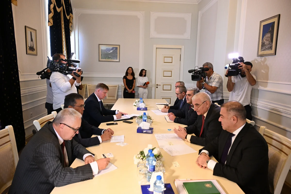 Мазахир Панахов встретился с делегацией СНГ