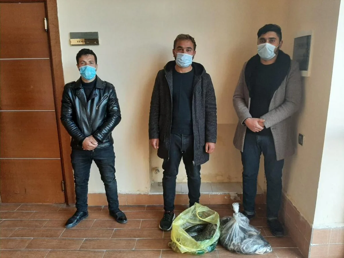 Zərdabda elektrik cihazı ilə balıq ovlayanlar saxlanılıb