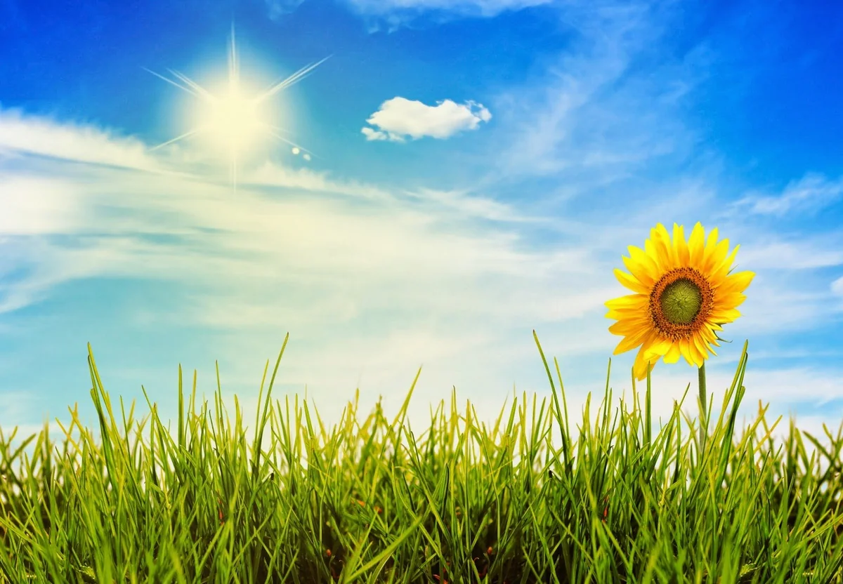 Avqust ayına olan hava proqnozu açıqlanıb