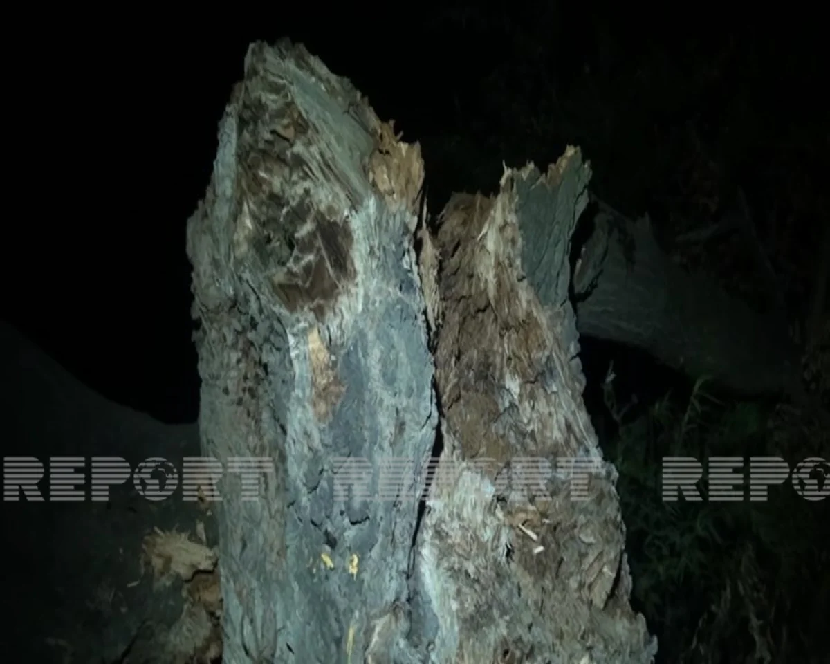 Goranboyda güclü külək fəsadlar törədib