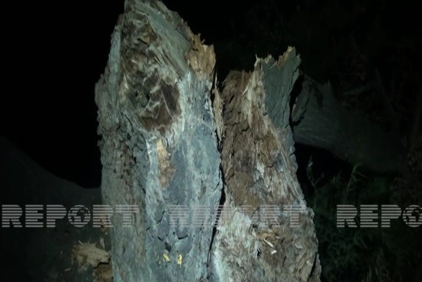 Goranboyda güclü külək fəsadlar törədib