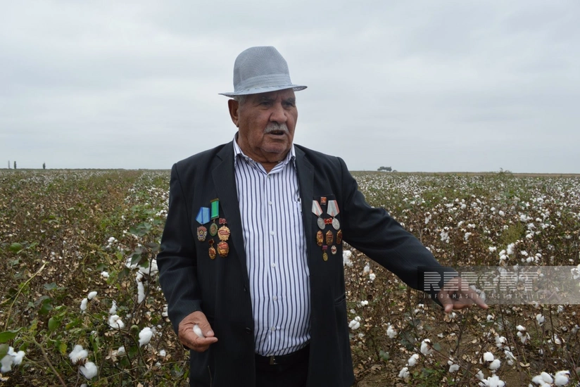 Biləsuvarın 88 yaşlı pambıqçısı: Heydər Əliyev mənə avtomobili hədiyyə etdi