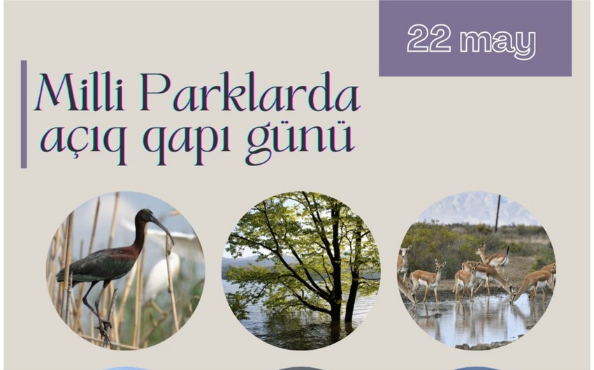 Sabah milli parklarda açıq qapı günü keçiriləcək