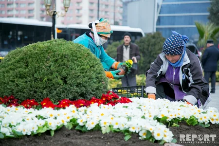 “Ana harayı”nın 26-cı ili - FOTOREPORTAJ