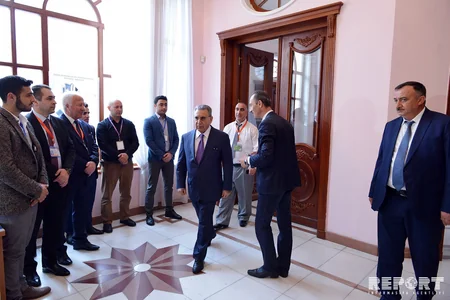 Akademik Ramiz Mehdiyev səs verib