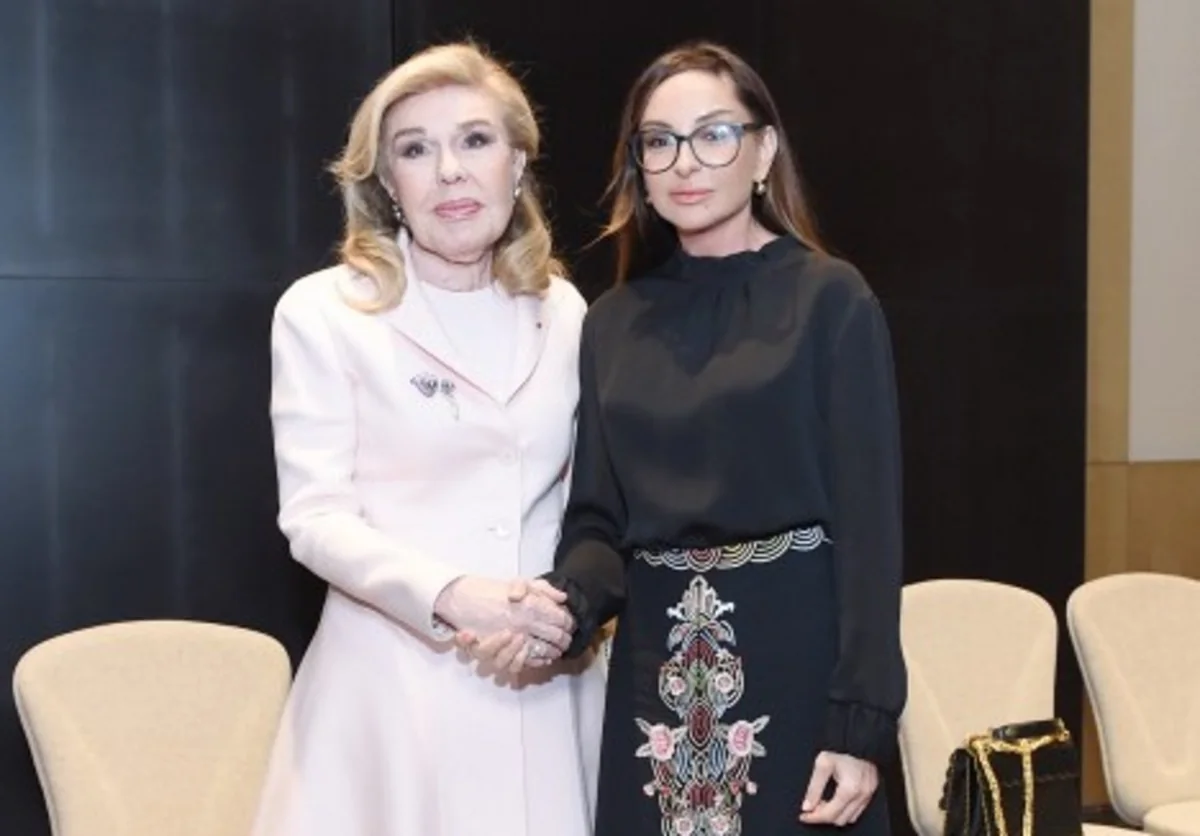 Первый вице-президент Мехрибан Алиева провела ряд встреч