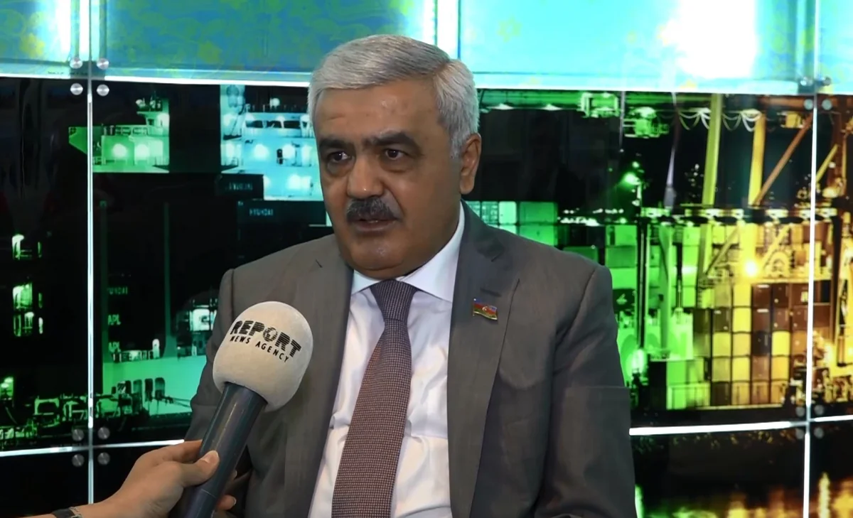 Rovnag Abdullayev: Azerbaijan is largest investor in Turkish energy sector for 5 years