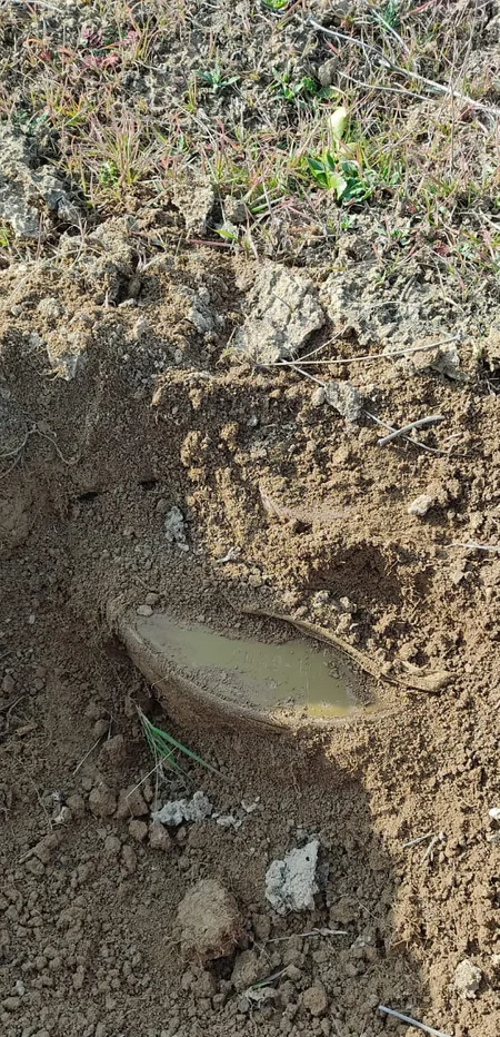 Cəbhə boyu ərazilərdə 216 partlamamış hərbi sursat aşkarlanıb