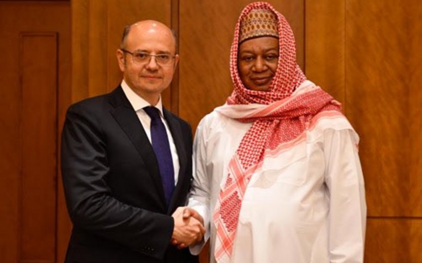Azerbaijan's energy minister condoles death of OPEC chief