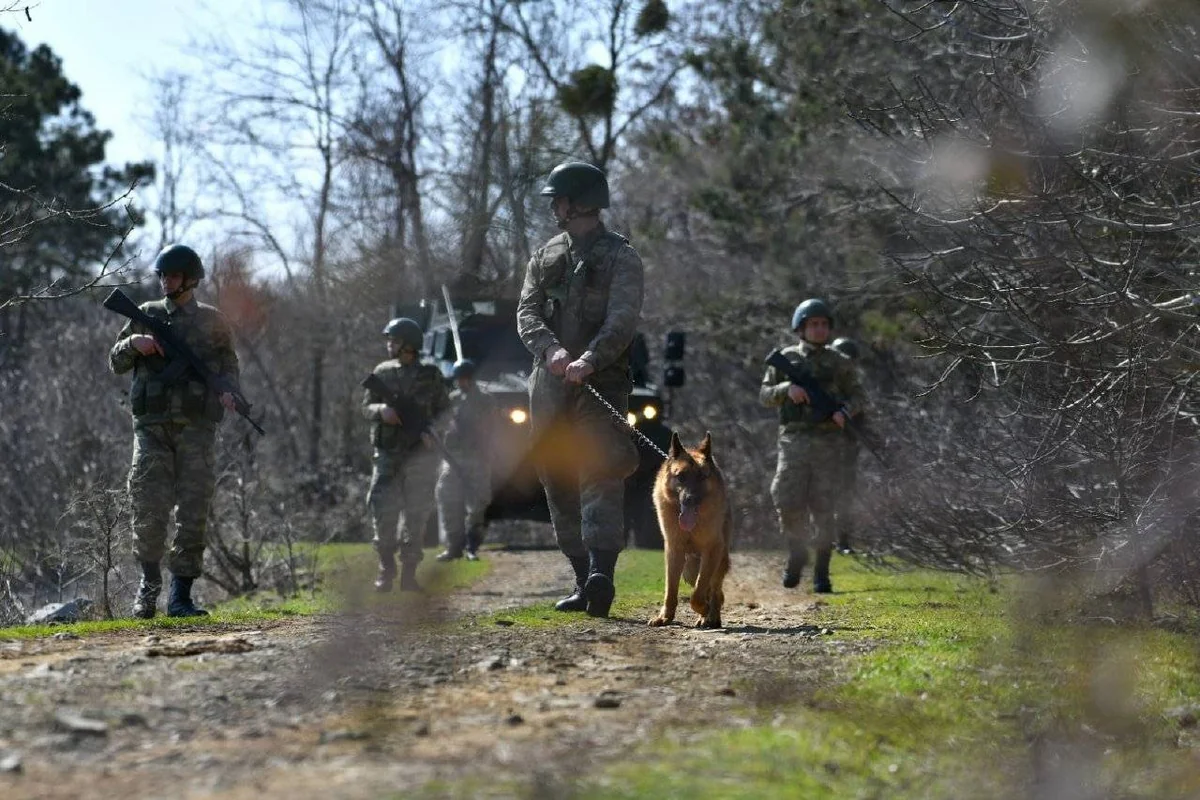 Five Turkish soldiers killed in Sirnak clashes