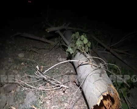 Goranboyun yaşayış məntəqələrinə elektrik enerjisinin nəqli bərpa edilib