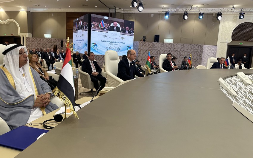 GECF-də Azərbaycanın etibarlı qaz təchizatçısı kimi enerji təhlükəsizliyinə töhfələri müzakirə olunub