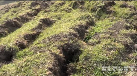 Cəlilabadda sürüşmə aktivləşib - FOTO