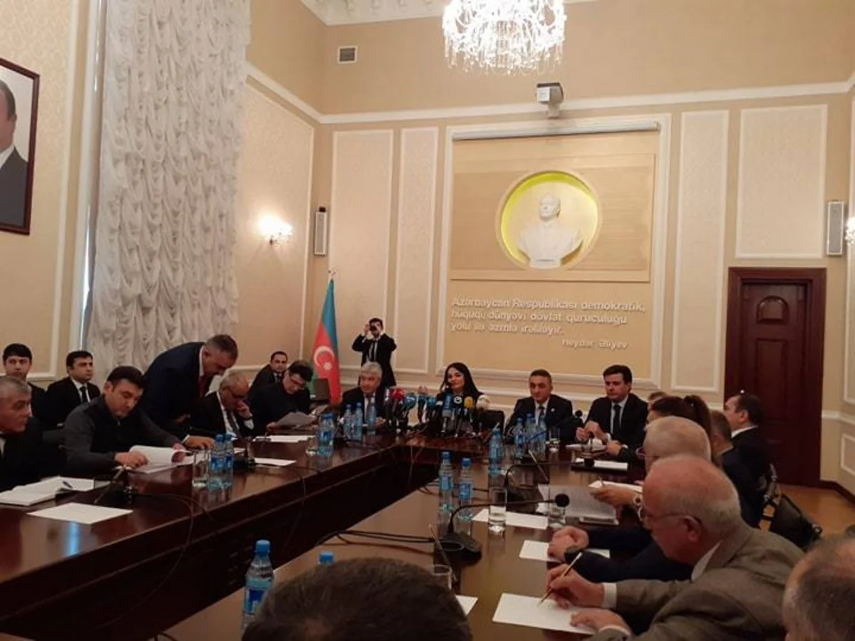 Rəis: Elə strateji məsələlər var ki, rəy vermək səlahiyyəti yalnız dövlət ekspertizasına aiddir