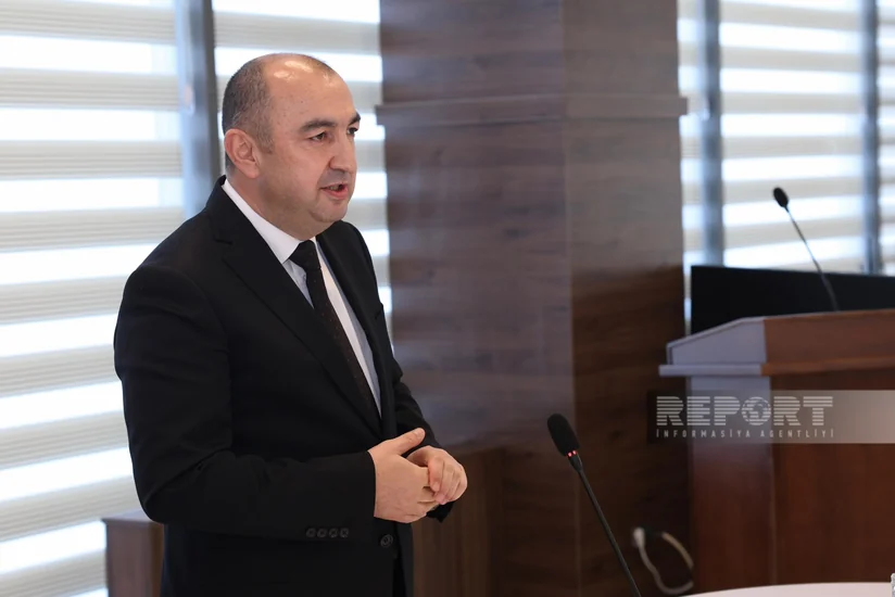 Azad olunan ərazilərdə salınan yaşıllıq zolaqlarının sahəsi açıqlanıb