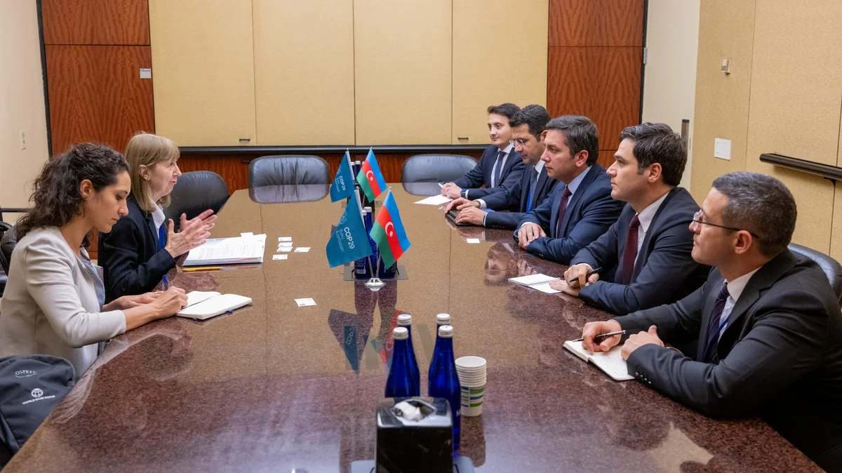 COP29 lead negotiator discusses bilateral cooperation with World Bank