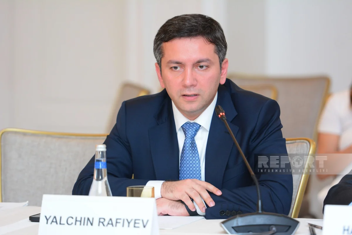 COP29 Lead Negotiator: Engaging private sector in climate agenda is crucial