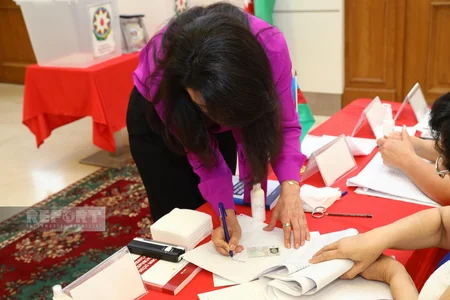 Ombudsman səsvermə hüququndan istifadə edib