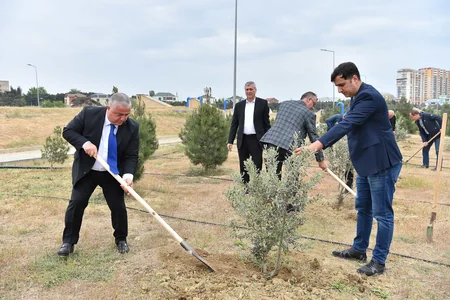 “Azərsu” Heydər Əliyevin 100 illik yubileyi münasibətilə ağacəkmə aksiyası keçirib