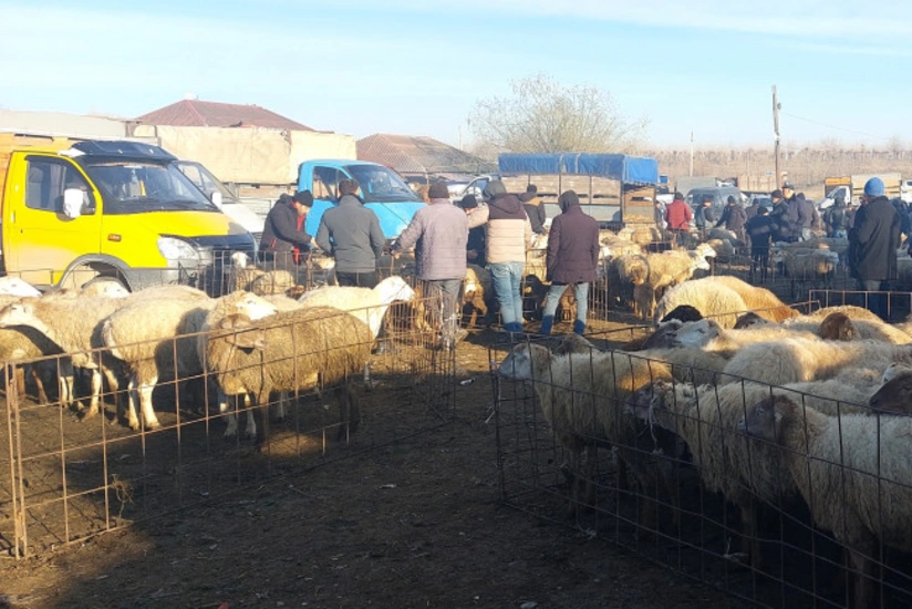 AQTA-nın heyvan bazarlarında apardığı monitorinqlər zamanı nöqsanlar aşkarlanıb