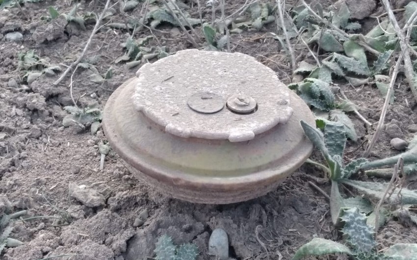 Cəbhəyanı ərazilərdə minlərlə piyada əleyhinə mina, mərmi qalıqları aşkarlandı