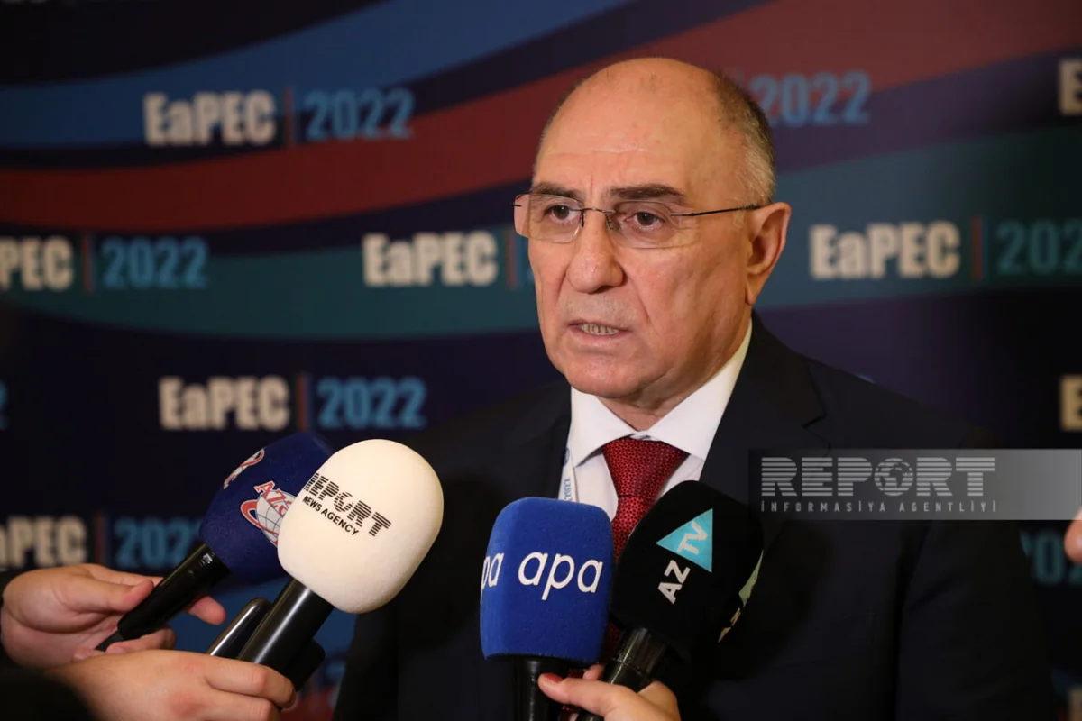 Rasim Əliquliyev: “Alimlərimizin elmi bazalara çıxışında məhdudiyyət var
