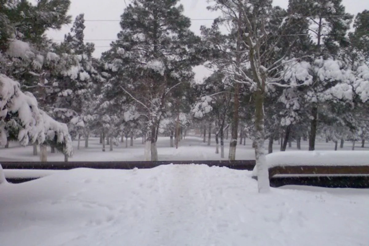 ​Sabah Azərbaycanda qar yağacaq