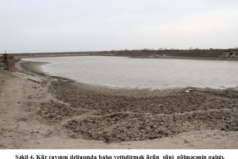 Alim: Neftçala, Salyan rayonlarının 250 minlik əhalisi köçmək məcburiyyətində qala bilər