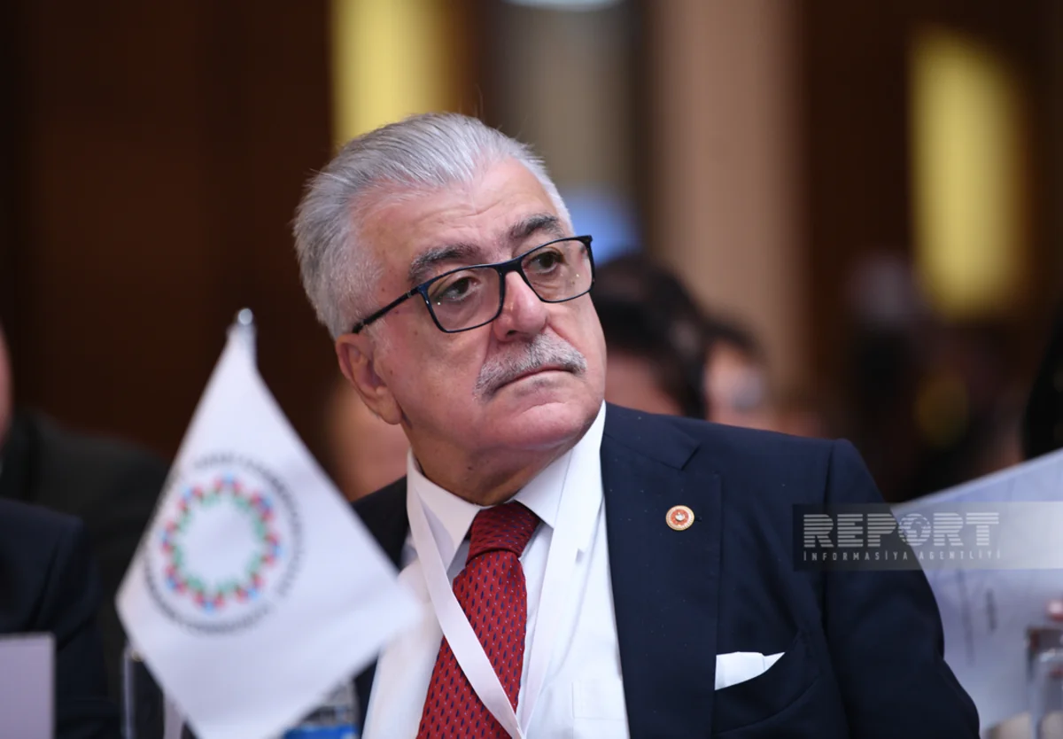 Şamil Ayrım: Beynəlxalq təsisatlar Qərbi azərbaycanlıların səsini dünyaya eşitdirməlidir
