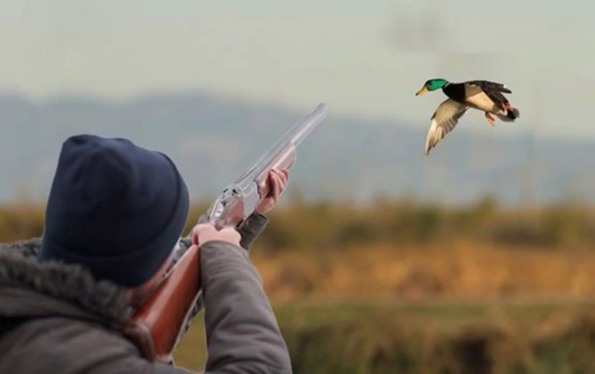 Azerbaijani agency identifies wild duck poacher, wants him sued