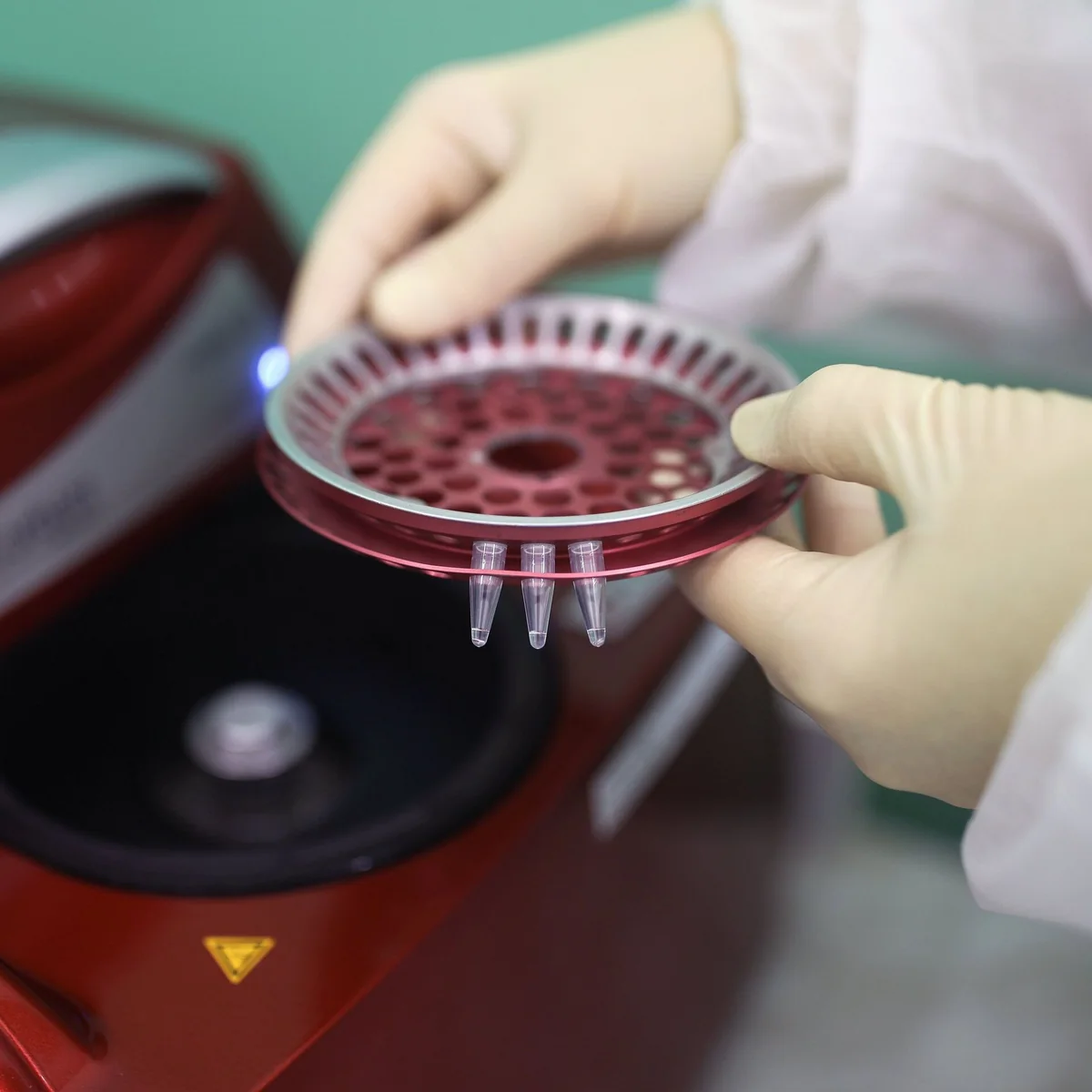 В Испании 132 человека заразились оспой обезьян