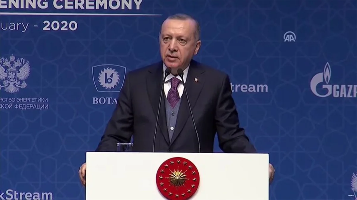 Türkiyə prezidenti: “Türk axını” kəməri yeni dövrün rəmzi layihələrindən biri olacaq”