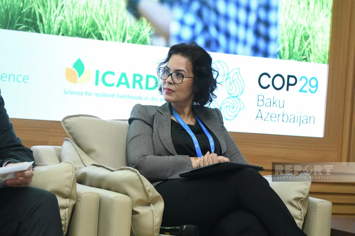 Глава CGIAR: Миллионы людей в мире страдают от голода