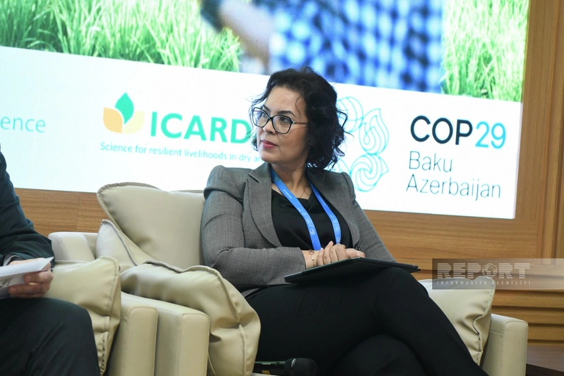 CGIAR rəsmisi “Dünyada milyonlarla insan aclıqdan əziyyət çəkir”