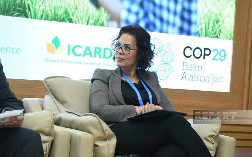 CGIAR rəsmisi “Dünyada milyonlarla insan aclıqdan əziyyət çəkir”