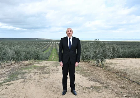 Prezident Zirədə zeytun emalı zavodunun açılışında iştirak edib - YENİLƏNİB