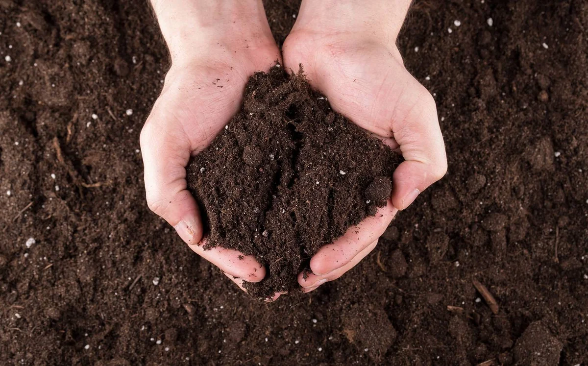 Azərbaycan Baltikyanı ölkələrdən torf alışını kəskin artırıb