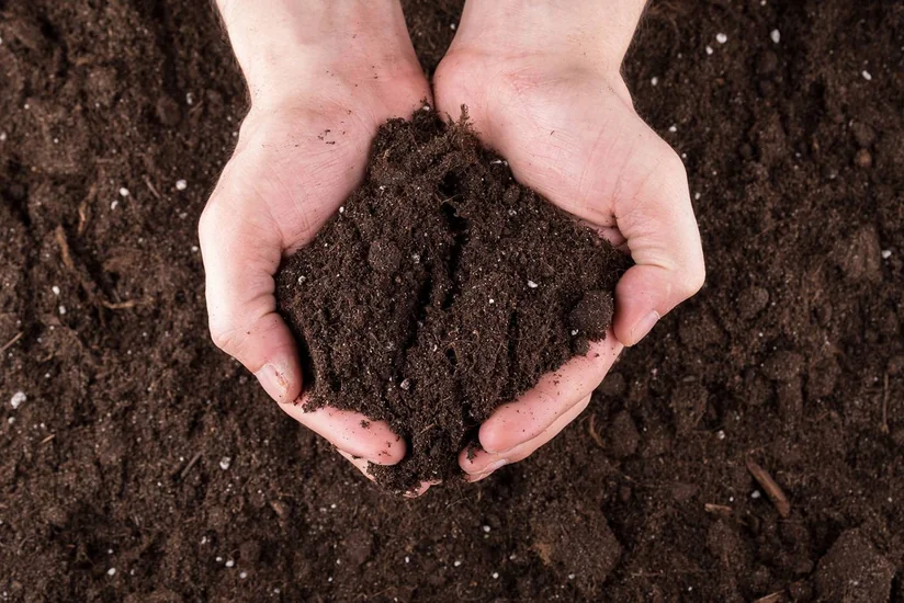 Azərbaycan Baltikyanı ölkələrdən torf alışını kəskin artırıb