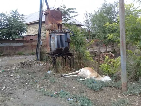 Cəlilabadda elektrik enerjisinin verilişində yaranan fasilə aradan qaldırılıb - YENİLƏNİB