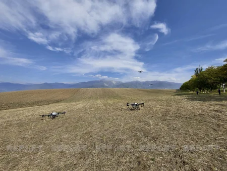 İsmayıllıya mediatur keçirilib