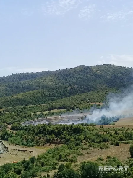 Hirkan Milli Parkında yanğın söndürülür