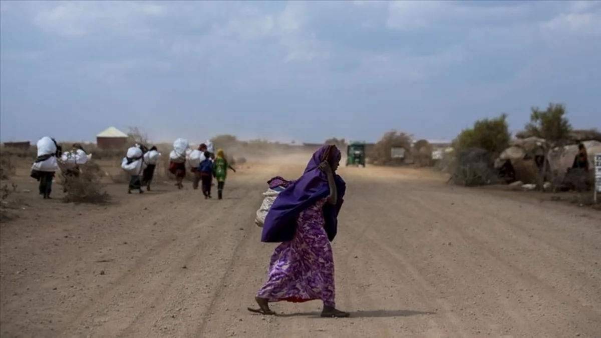 Somali əhalisinin beşdə biri quraqlıqdan əziyyət çəkir