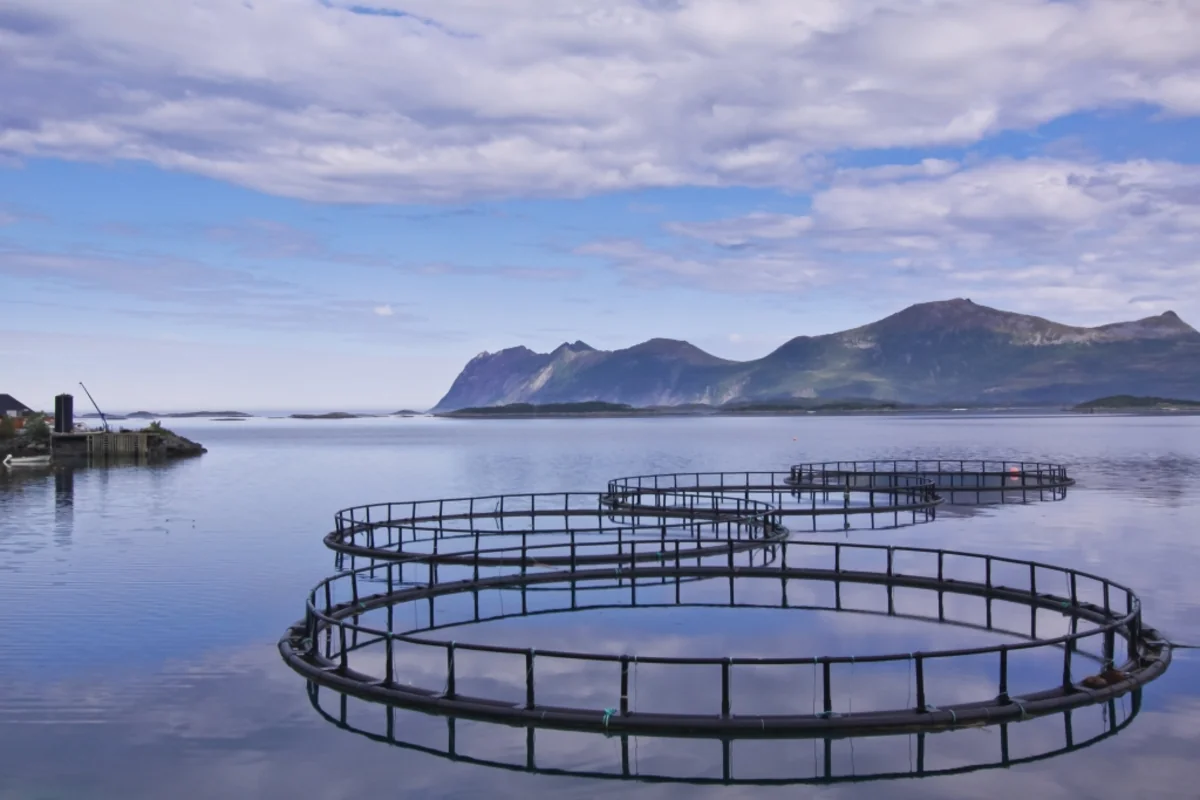 Azerbaijan moves to refine regulations for classification of lands designated for aquaculture