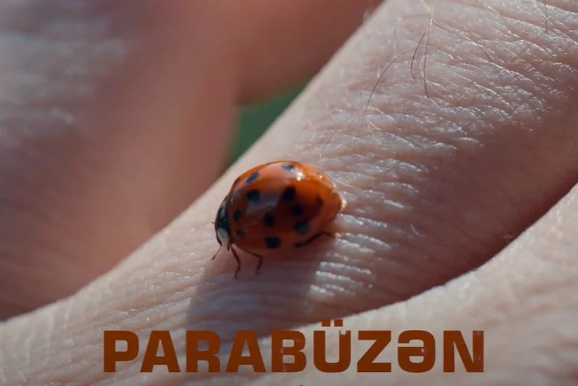 54 gün erməni mühasirəsində qalmış azərbaycanlılarla bağlı “Parabüzən” filmi təqdim olunacaq
